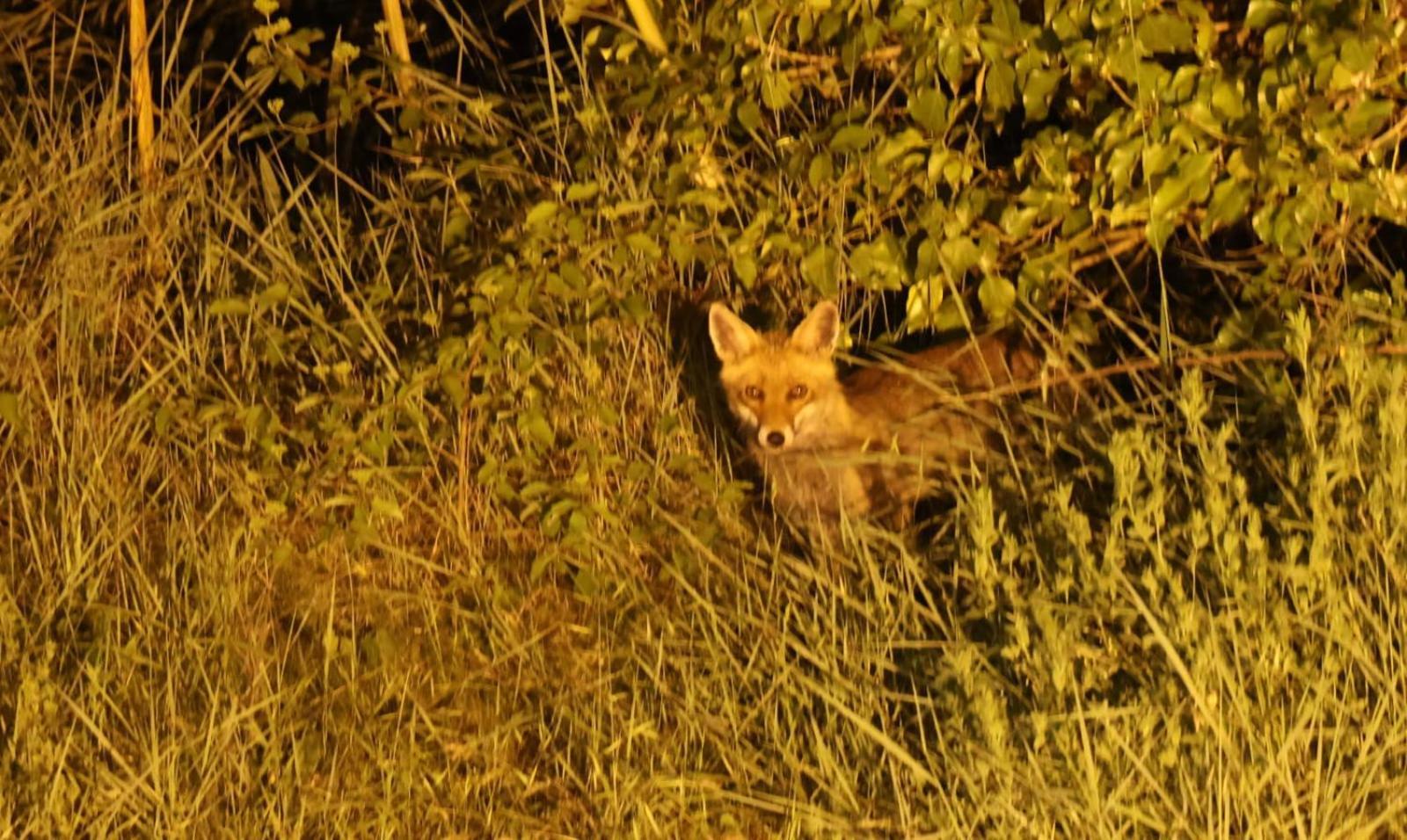 Yourte Nomade Lucéram Buitenkant foto